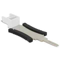 Delock RJ45 LSA F/F Keystone modul