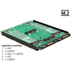 Delock 2db mSATA -> 2db M.2 NGFF B 2db mSATA adapter