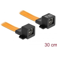 Delock RJ45 FPC (Flexibilis Nyomtatott Áramkör) ablakon átbújtató, 30 cm