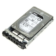 Dell EMC 4TB 7200rpm NL-SAS 3,5" Hot-plug HDD [ R25, R35, R45, R55, R65, R75, T35, T55 ]