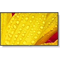M501-2 50IN UHD 500CD/QM LED 24/7 SDM CM